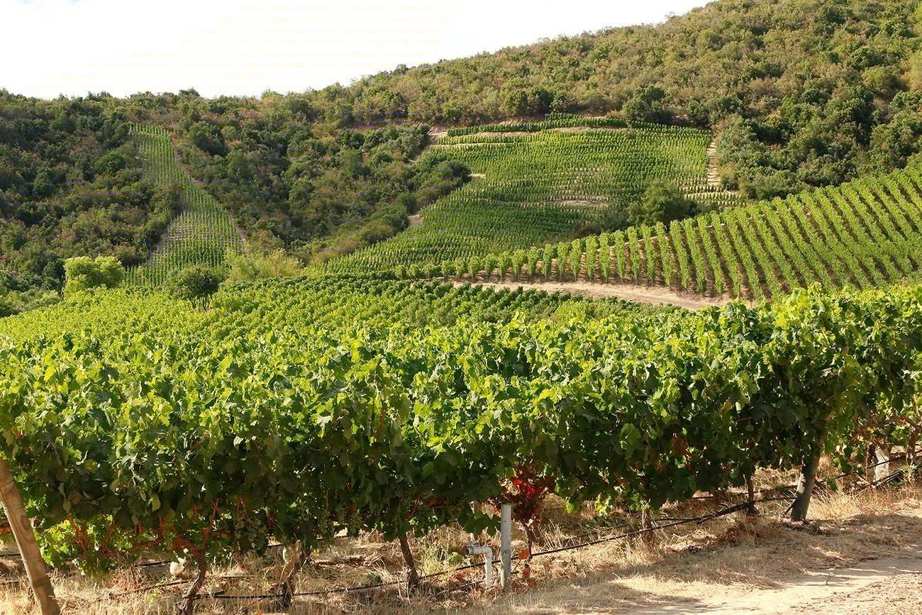 Why Chile's Central Wine Valleys are the Perfect Romantic Getaway